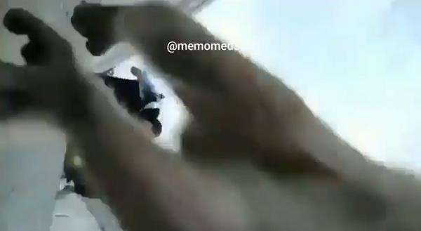 Viral lagi mau buat konten HP-nya dibawa kabur monyet.