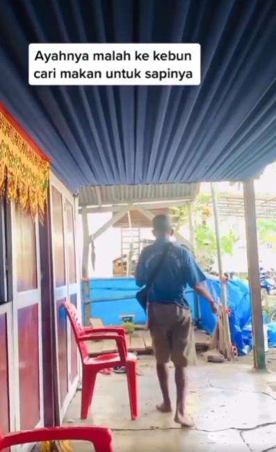 Di hari pernikahan putrinya, sang ayah malah ke kebun cari rumput.