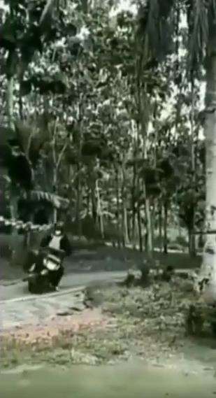 Kurir rasa pembalap antar paket pakai tendangan kungfu.