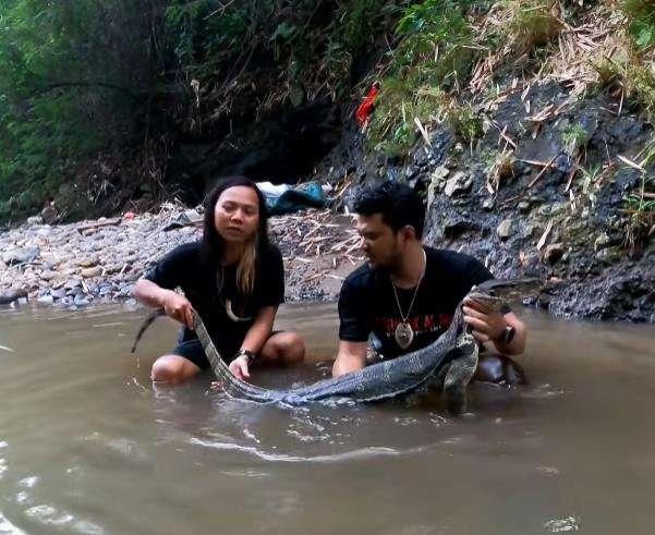 Makan banteng air alias biawak raksasa.