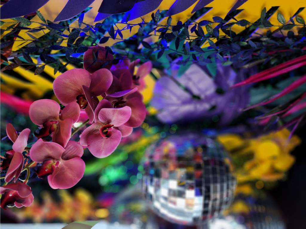 Portrait Mode untuk hasil epik yang instan dengan bokeh estetik