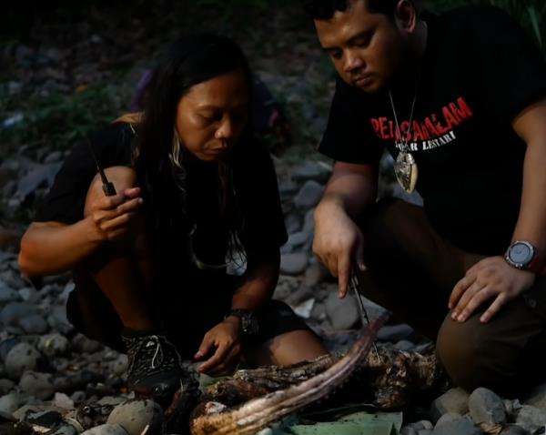 Makan banteng air alias biawak raksasa.