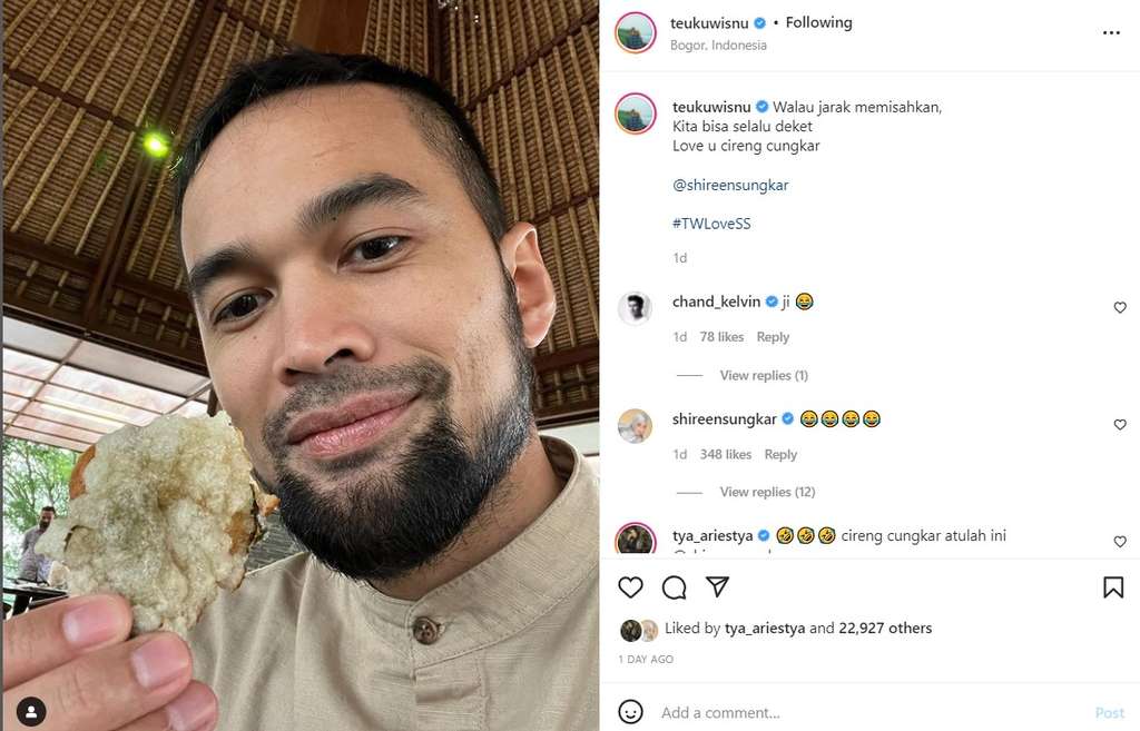 Unggahan Teuku Wisnu
