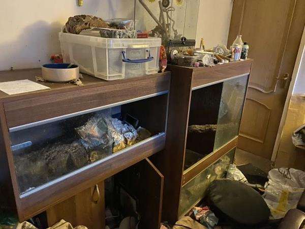 Pemilik syok lihat rumah yang dikontrakan mirip tempat pembuangan sampah.
