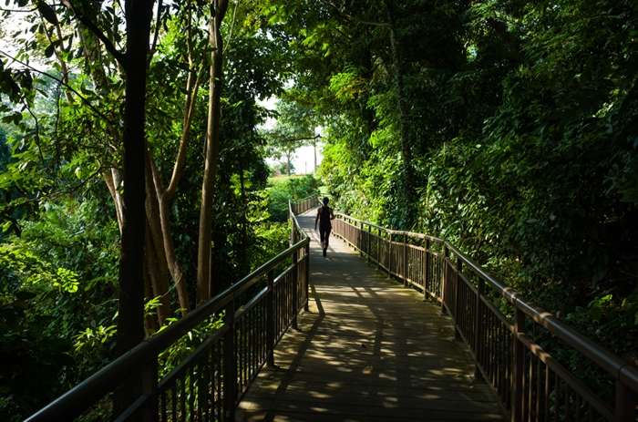 Siap Sambut Wisatawan Indonesia, Deretan Destinasi Ini Ampuh Obati Kerinduan Singapura Lho!