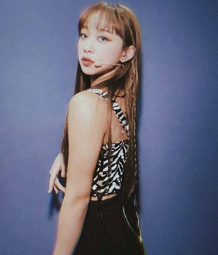 Dita Karang