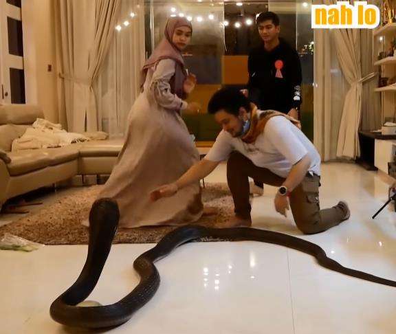 Datang ke rumah Ria Ricis, king kobra Garaga malah BAB.