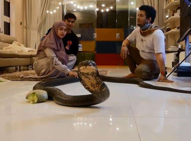 Datang ke rumah Ria Ricis, king kobra Garaga malah BAB.