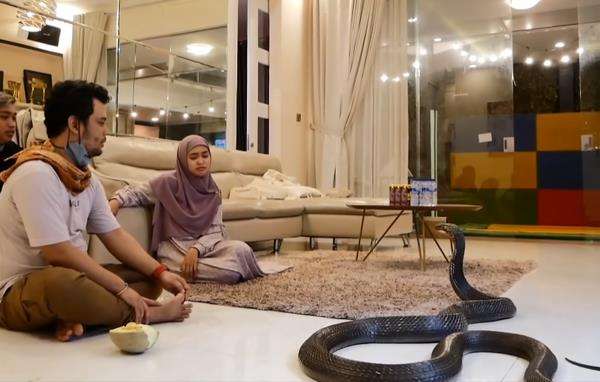 Datang ke rumah Ria Ricis, king kobra Garaga malah BAB.