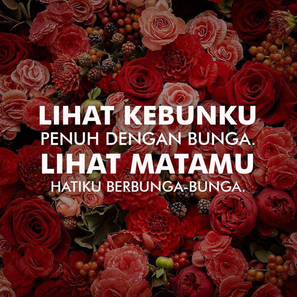 Grafis Kata-Kata Mutiara