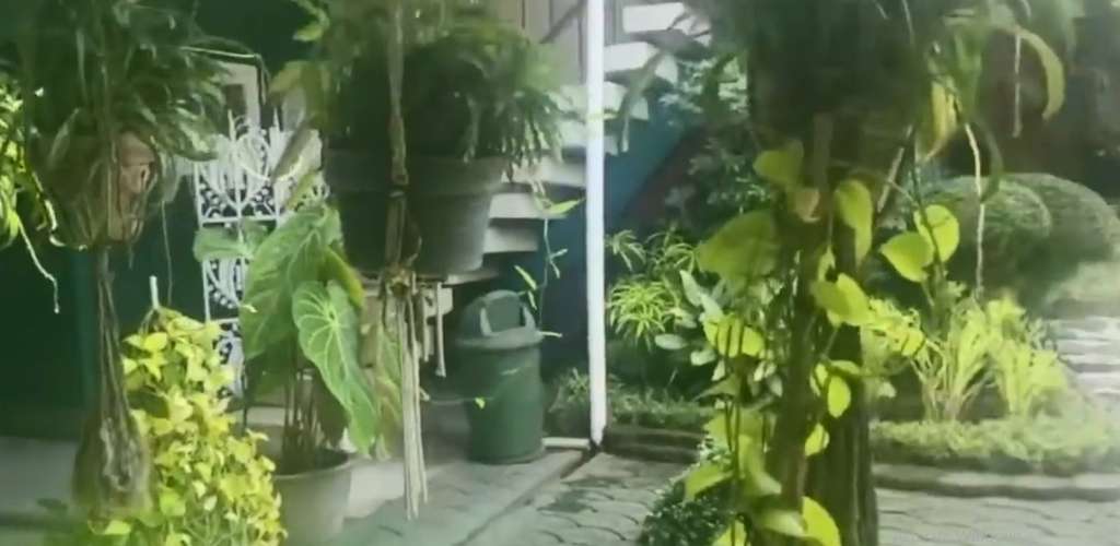 Rumah masa kecil Amy Qanita