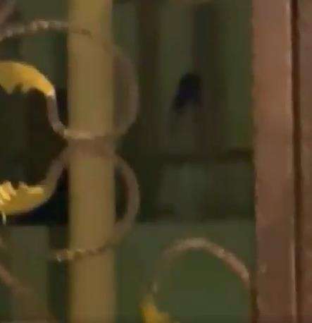 Viral penampakan sosok seram di balkon bangunan tua di Samarinda.