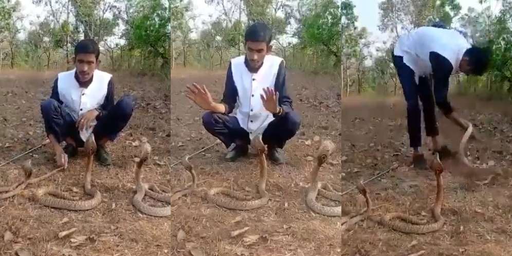 Pawang ular India