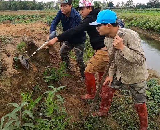 Heboh penemuan sarang berisi 100 ular kobra di pematang sawah