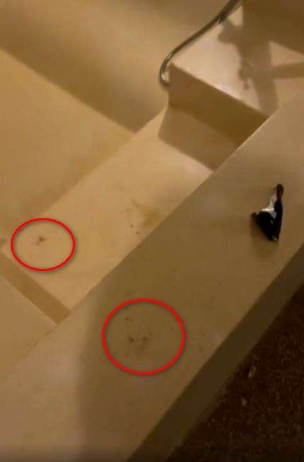 Niatnya staycation di hotel malah dapat pengalaman horor.