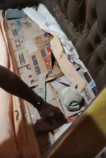 Beli sofa mahal isinya ternyata kardus semua.