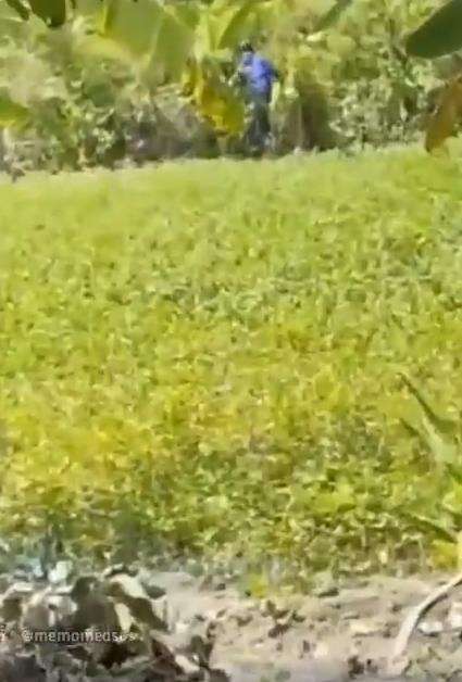 Beralas kain, dua sejoli mesum di kebun.