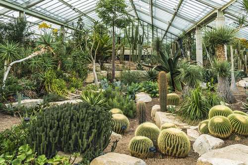 Kew Garden London