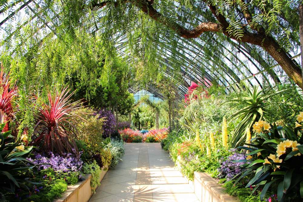 Longwood Garden