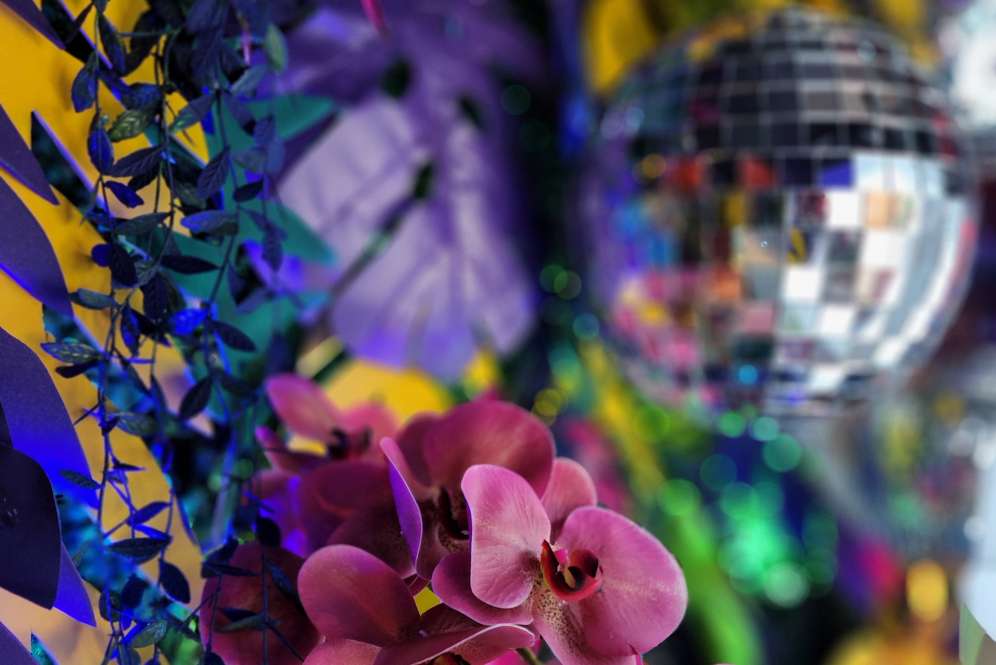 Hasil foto dari Samsung Galaxy S22 Series 5G