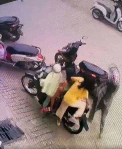 5 bocil naik motor, auto roboh karena kaki tidak sampai tanah.