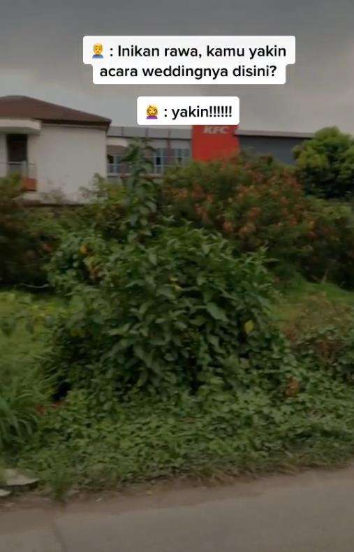 Tempat pernikahan tak lazim di bekas rawa-rawa.