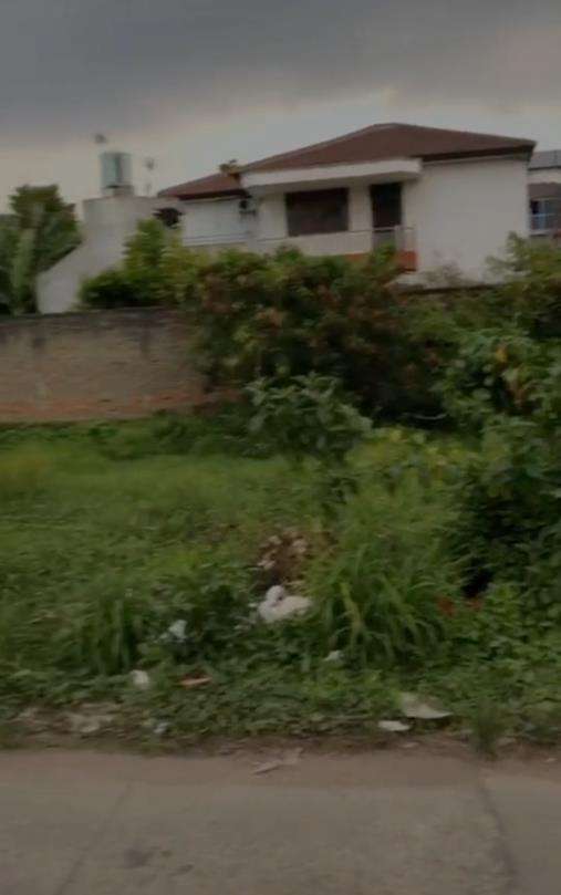 Tempat pernikahan tak lazim di bekas rawa-rawa.