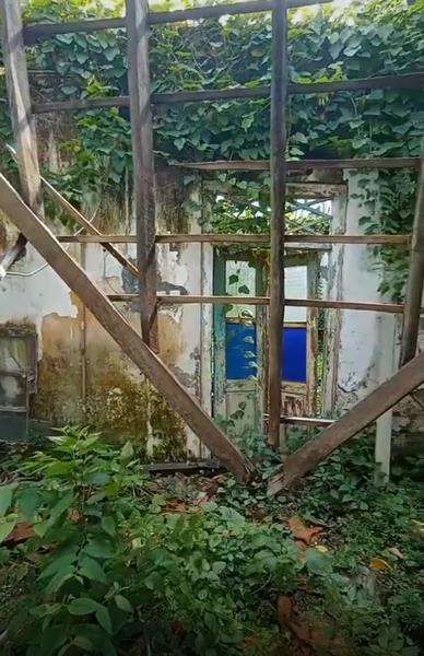 Rumah Mbah Besari terbengkalai, hanya menyisakan dinding.