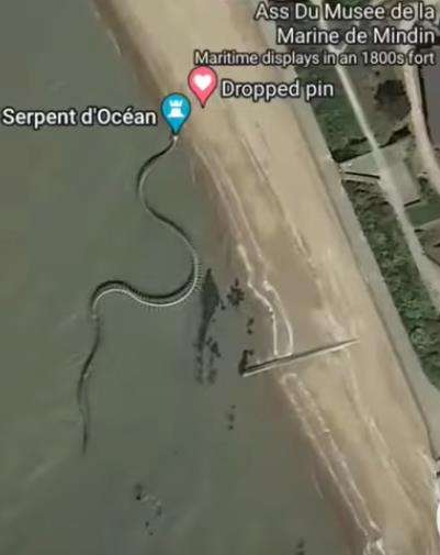 Penampakan kerangka ular raksasa di tepi pantai.
