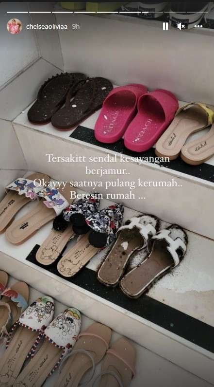 Penampakan Sendal berjamur