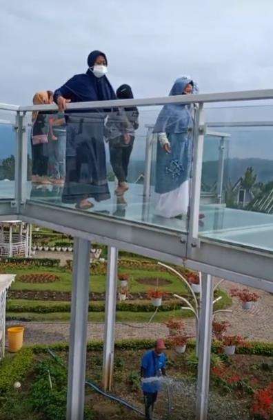 Nikmati jembatan kaca malah fokus ke tukang kebun di bawahnya.