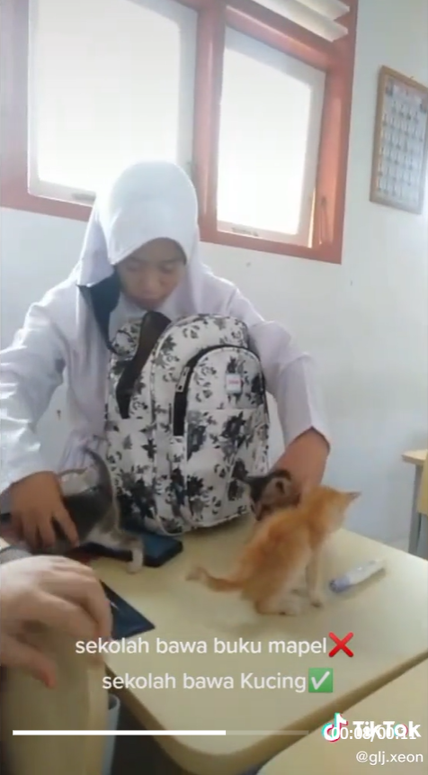 siswi bawa kucing