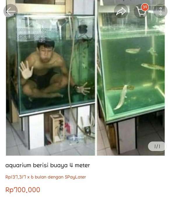 Barang online shop