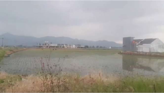 Penamdangan Depan Sawah