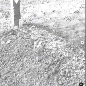 Istri meninggal beberapa hari setelah pernikahan