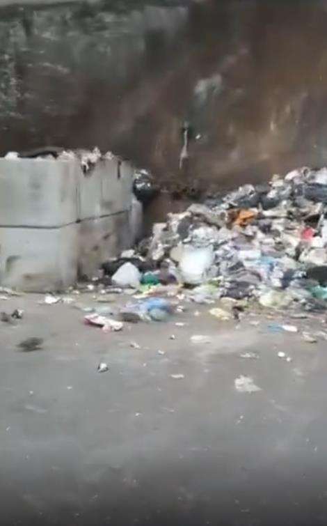 Penampakan ratusan ribu tikus dalam gudang kosong.