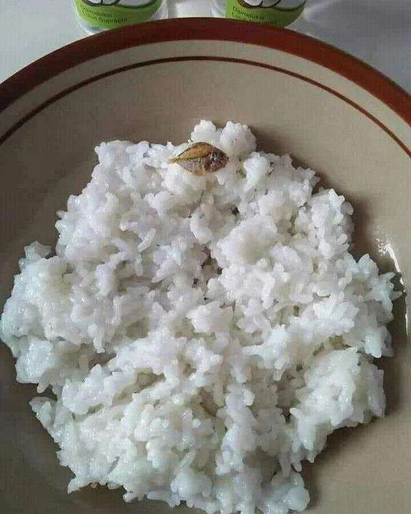 Foto makan nasi dengan lauk nyeleneh.