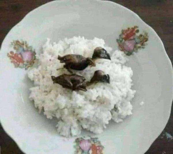 Foto makan nasi dengan lauk nyeleneh.