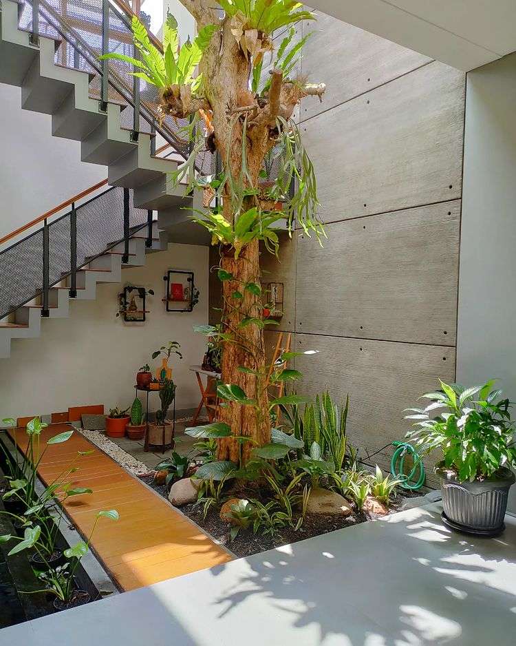 Instagram @dhouse_dzds