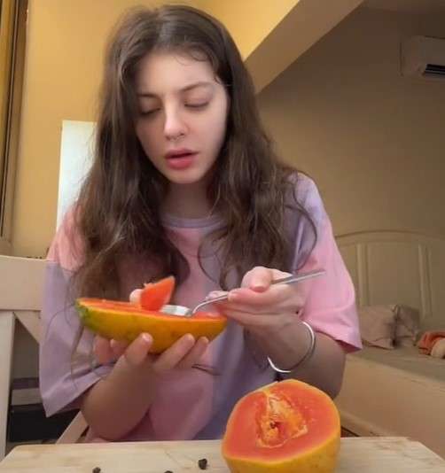 TikTok @leilaafshonkar