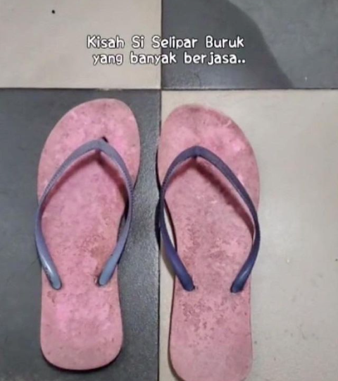 Instagram @stastusfakta