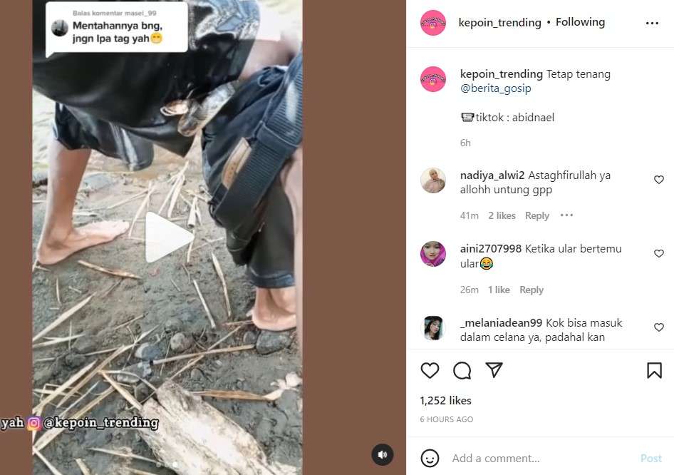 Viral video ular masuk ke celana
