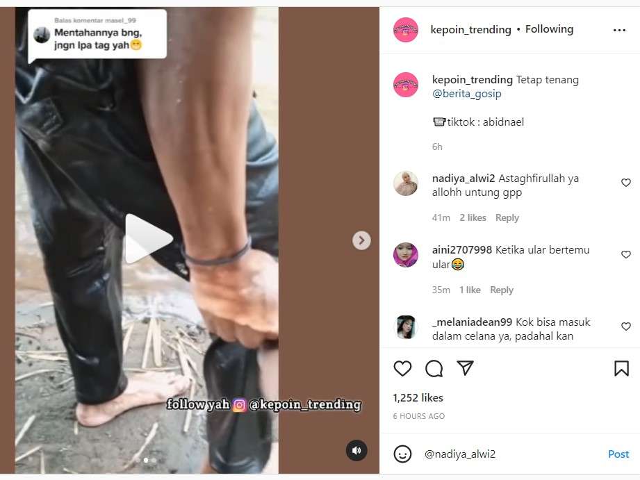 Ular masuk ke dalam celana pria