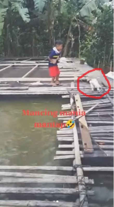 Bocah mancing ikan endingnya bikin nyesek