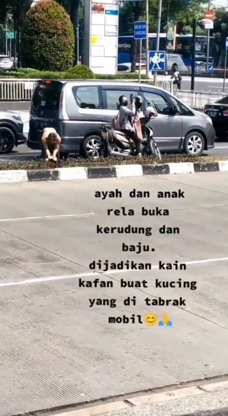 kucing yang sedang diselamatkan