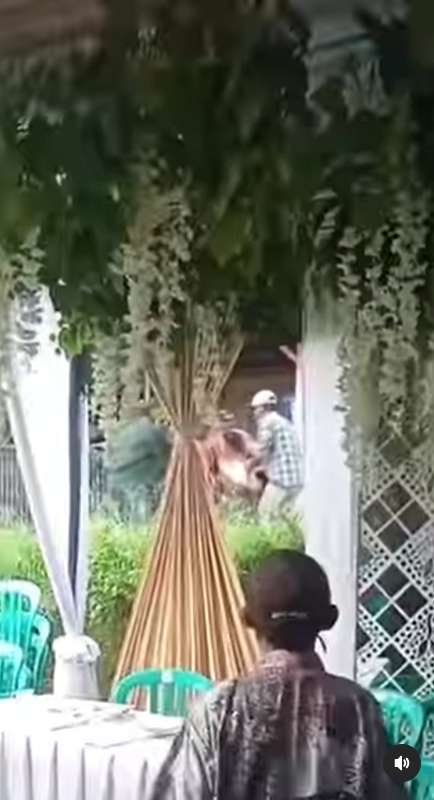 pria mengamuk di pernikahan sang mantan