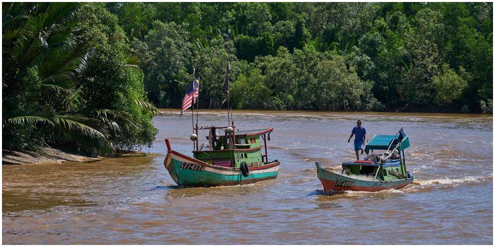 Manfaat Mangrove bagi Kehidupan