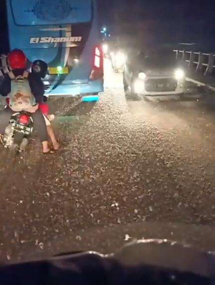Jutaan serangga muncul di tengah jalan raya.