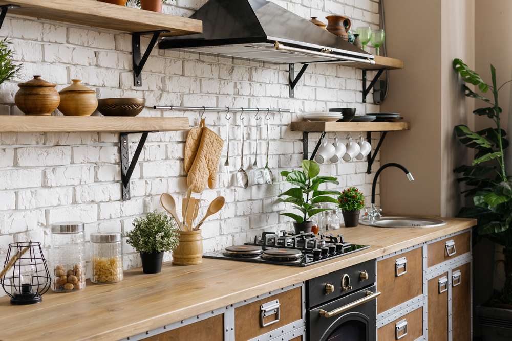Bukan Hanya di Teras, Ini Area Indoor yang Juga Bisa Dipercantik dengan Tanaman Hias