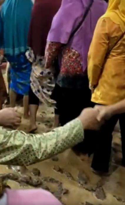 Suasana resepsi pernikahan seperti di sawah.